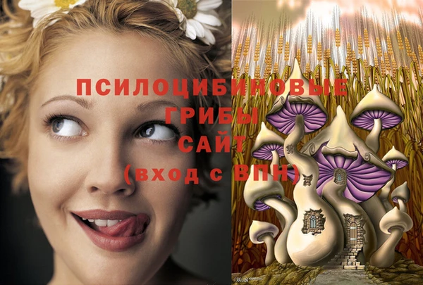 МДМА Армянск