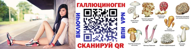 купить закладку  Верея  Галлюциногенные грибы Psilocybine cubensis 